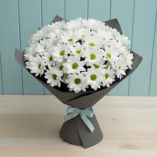 Букет цветов из:  Хризантемы #REPLACE_PRED# Усть-Кан
