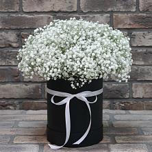 Цветочная композиция из Гипсофила в шляпной коробке в Усть-Кан