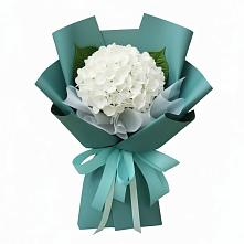 Букет цветов из:  Гортензия в Усть-Кан
